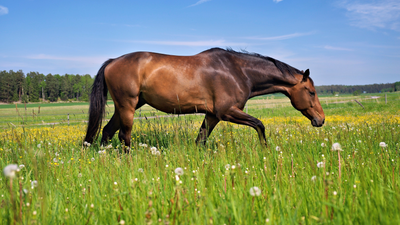 Physique et bien-être