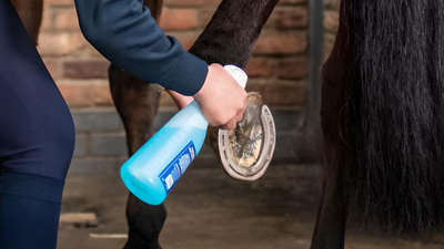 Sabots et fourchettes