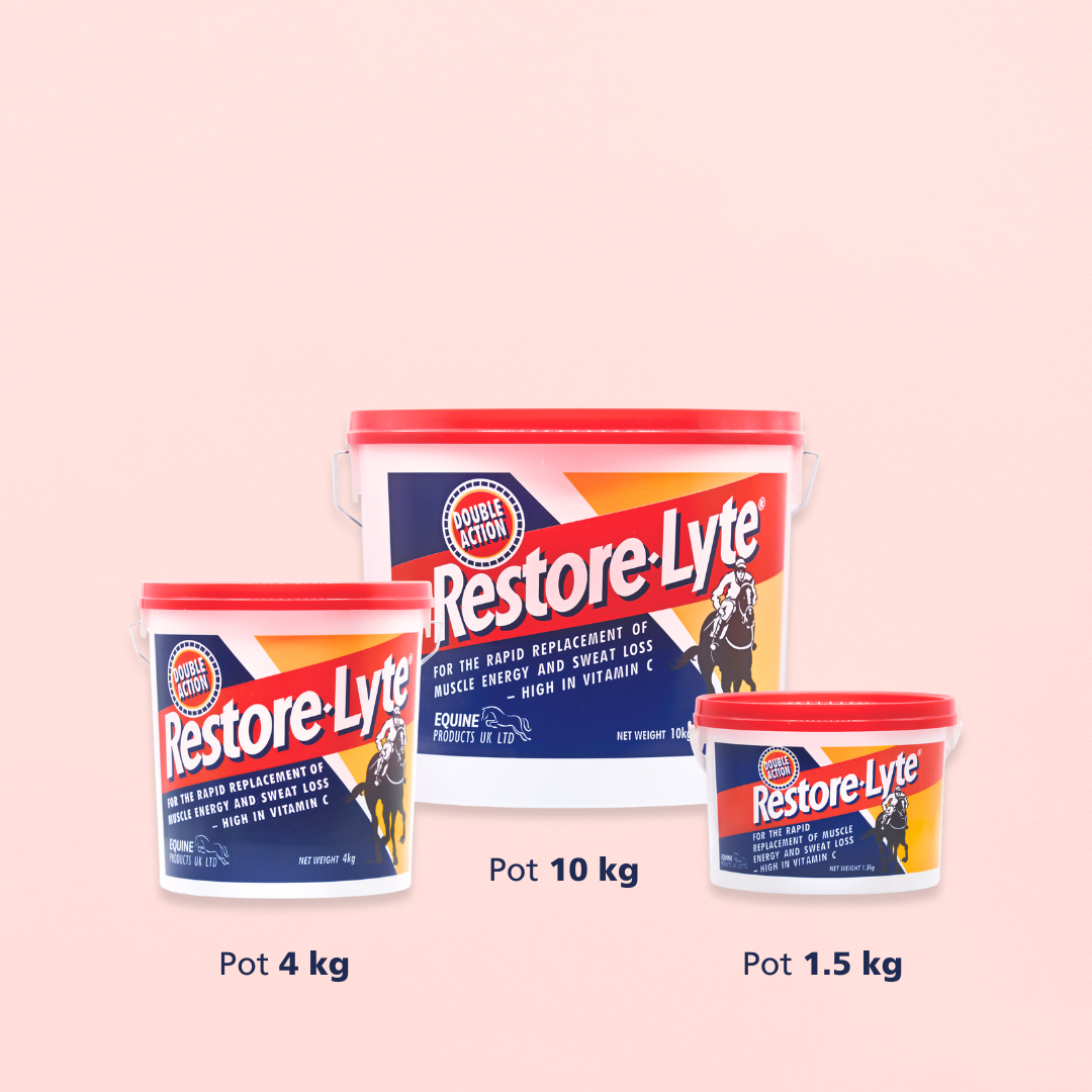 Restore-Lyte Powder | 2 EN 1 ÉLECTROLYTES + ÉNERGIE