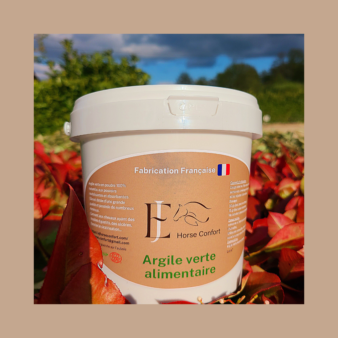 Argile Verte Alimentaire | PROTECTRICE ET ABSORBANTE | TROUBLE GASTRO-INTESTINAL