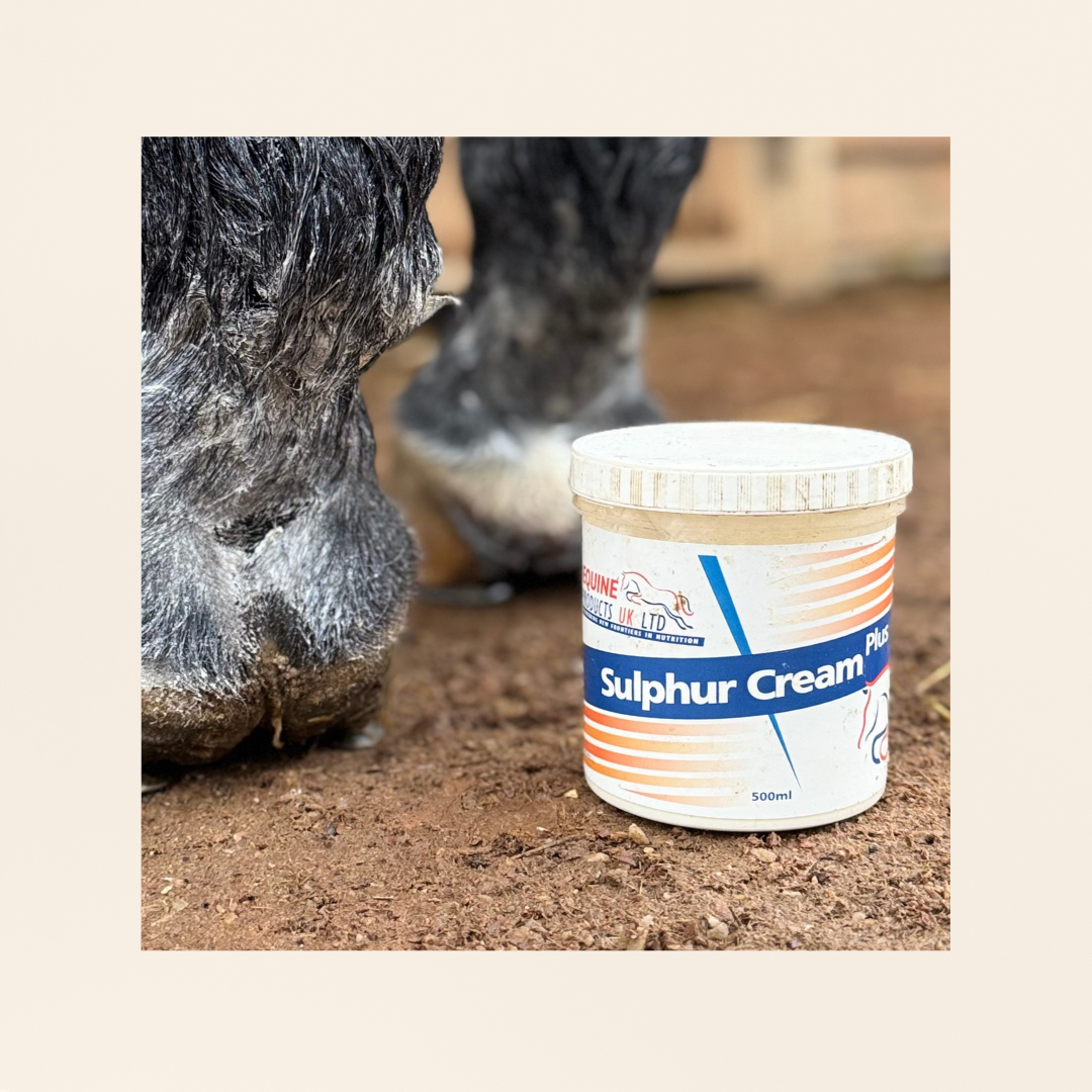 Sulphur Cream | BARRIÈRE CUTANÉE ANTI-INFLAMMATOIRE | CREVASSES, GALE DE BOUE...