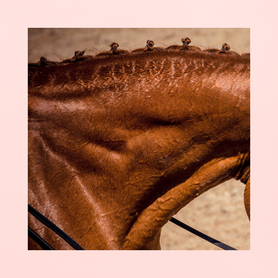 Optima BCAA Paste | ANTI-FATIGUE MUSCULAIRE PENDANT L'EFFORT