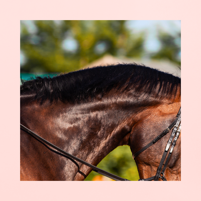 Restore-Lyte Gel | ÉLECTROLYTES EXPRESS POST SUDATION