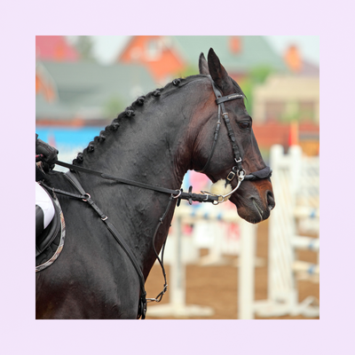 Mood Balancer | JUMENTS EN CHALEUR | L-TRYPTOPHANE | CONFORT ET RÉGULARITÉ