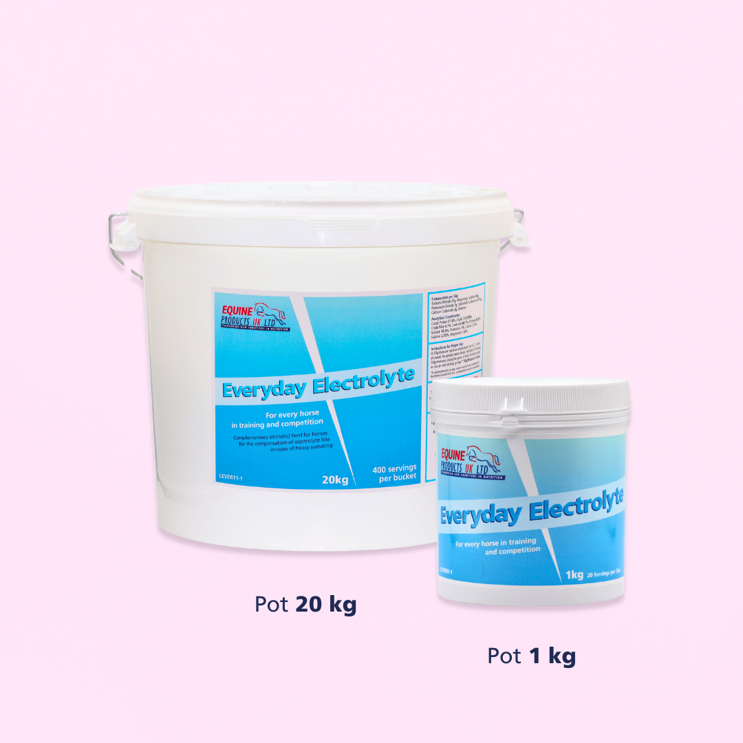 Everyday Electrolyte | MINÉRAUX ESSENTIELS QUOTIDIEN DE QUALITÉ SUPÉRIEURE