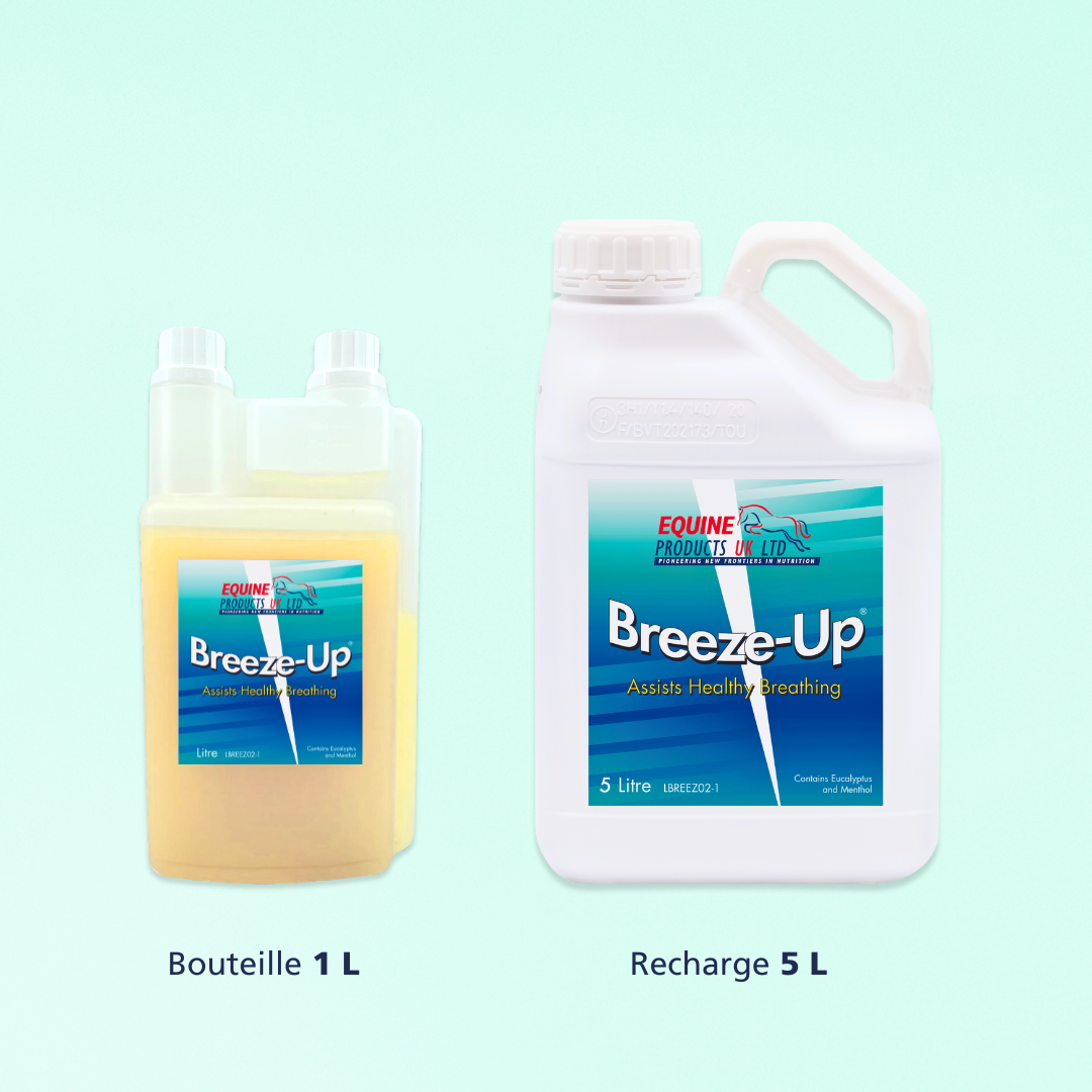 Breeze-Up | SOULAGE + ASSAINIT LES VOIES RESPIRATOIRES
