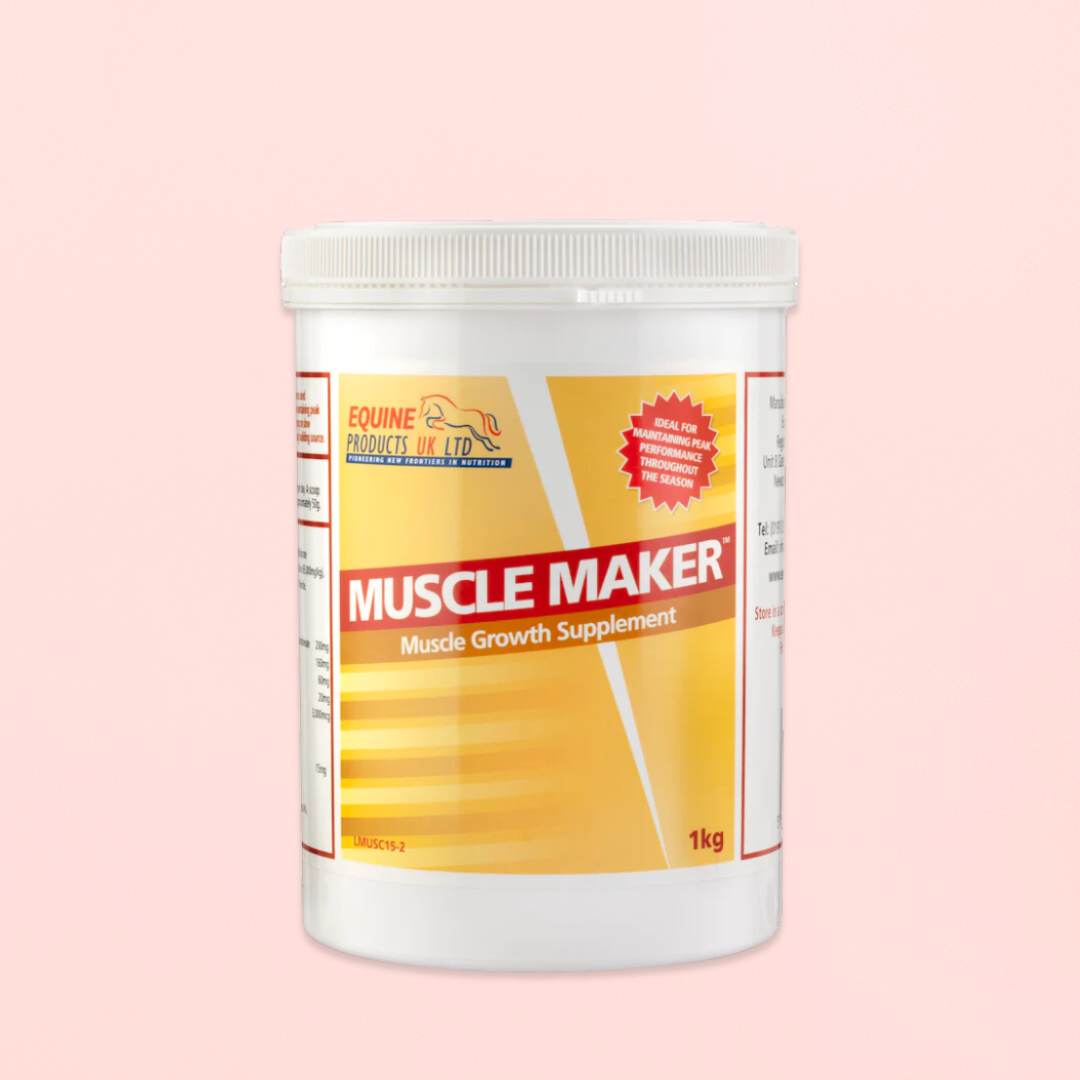 Muscle Maker | QUALITÉ ET PROTECTION DE LA MASSE MUSCULAIRE | CHEVAL ATHLÈTE