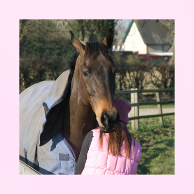 Equine OAP | SPECTRE ULTRA-COMPLET | ÉTAT | CONFORT ET VITALITÉ