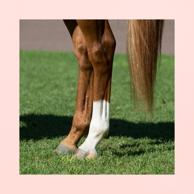 No Ties | ANTI-CRAMPES ET MYOSITES POST EFFORT INTENSE