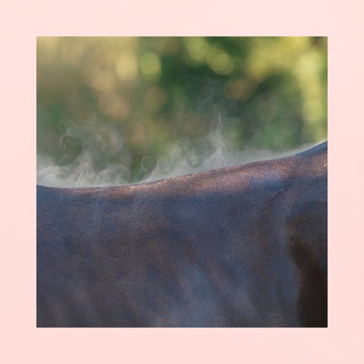 Restore-Lyte Powder | 2 EN 1 ÉLECTROLYTES + ÉNERGIE