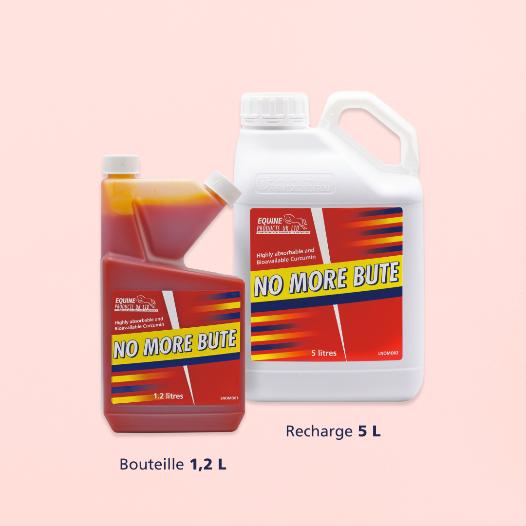 No More Bute | ANTI-INFLAMMATOIRE ET ANTI-OXYDANT