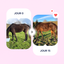 Equine OAP | SPECTRE ULTRA-COMPLET | ÉTAT | CONFORT ET VITALITÉ