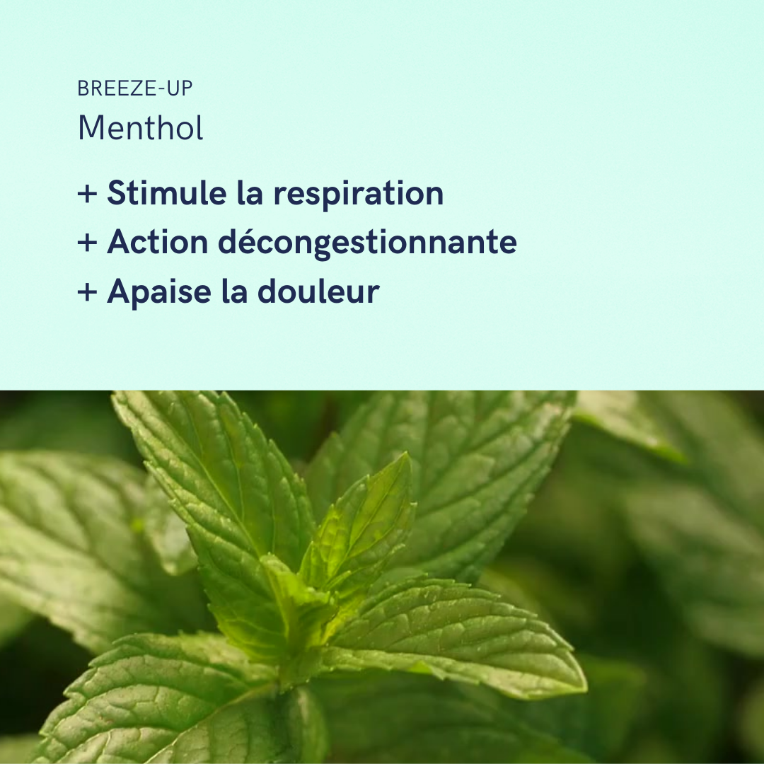 Breeze-Up | SOULAGE + ASSAINIT LES VOIES RESPIRATOIRES