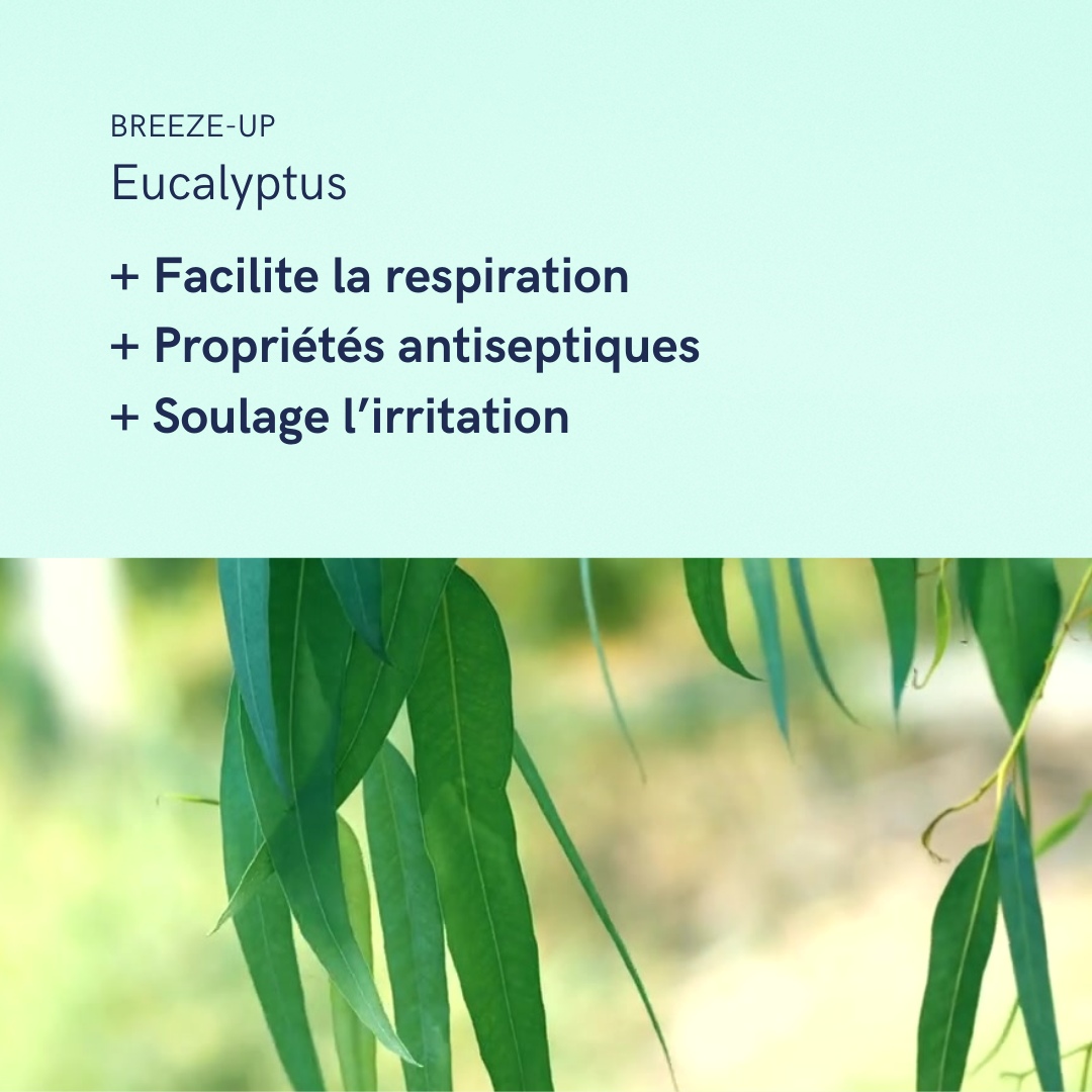 Breeze-Up | SOULAGE + ASSAINIT LES VOIES RESPIRATOIRES