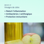Breeze-Up | SOULAGE + ASSAINIT LES VOIES RESPIRATOIRES