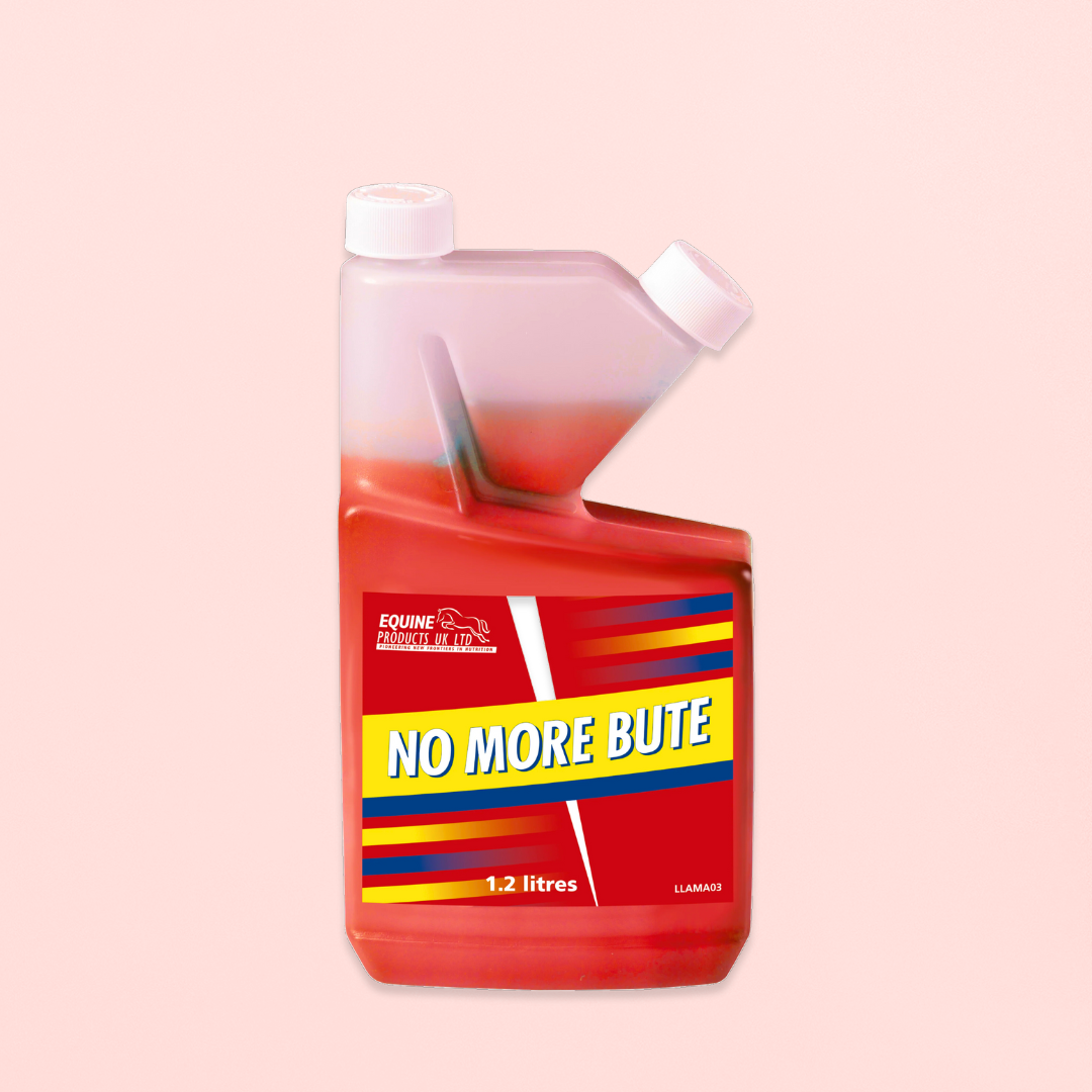 No More Bute | ANTI-INFLAMMATOIRE ET ANTI-OXYDANT