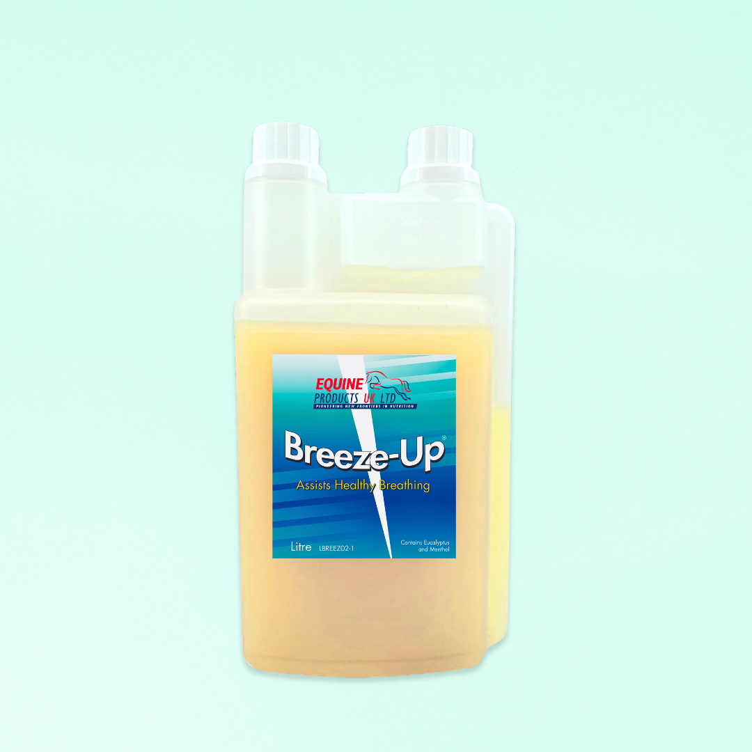 Breeze-Up | SOULAGE + ASSAINIT LES VOIES RESPIRATOIRES