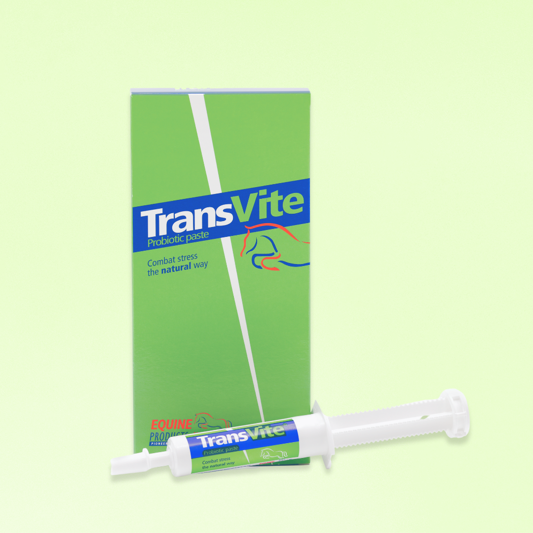 TransVite Paste |  | PROBIOTIQUES ET PRÉBIOTIQUES | STRESS INTESTINAL