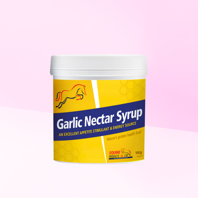 Garlic Nectar Syrup | ÉNERGIE, APPÉTIT ET RESPIRATION