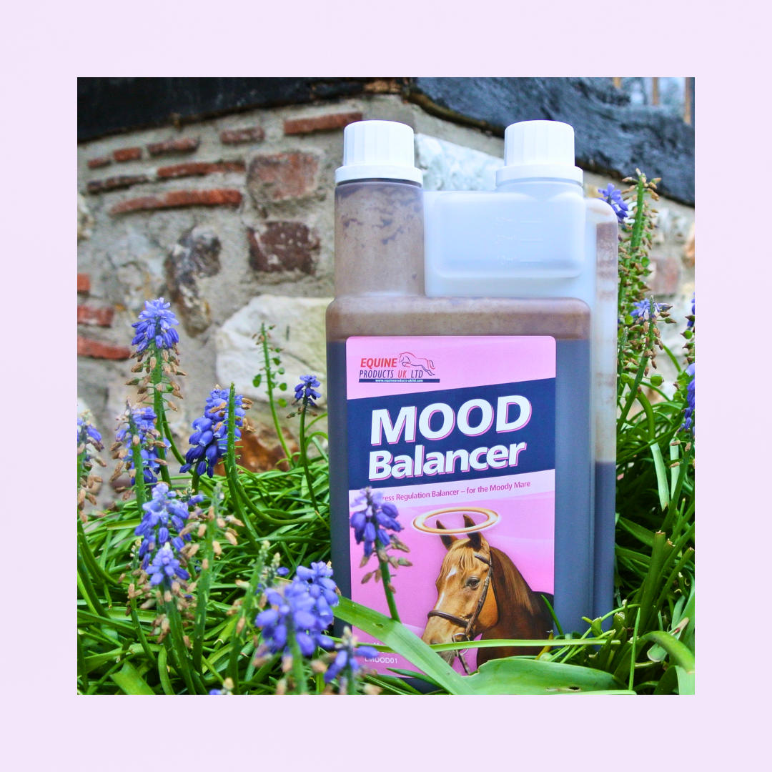 Mood Balancer | JUMENTS EN CHALEUR | L-TRYPTOPHANE | CONFORT ET RÉGULARITÉ