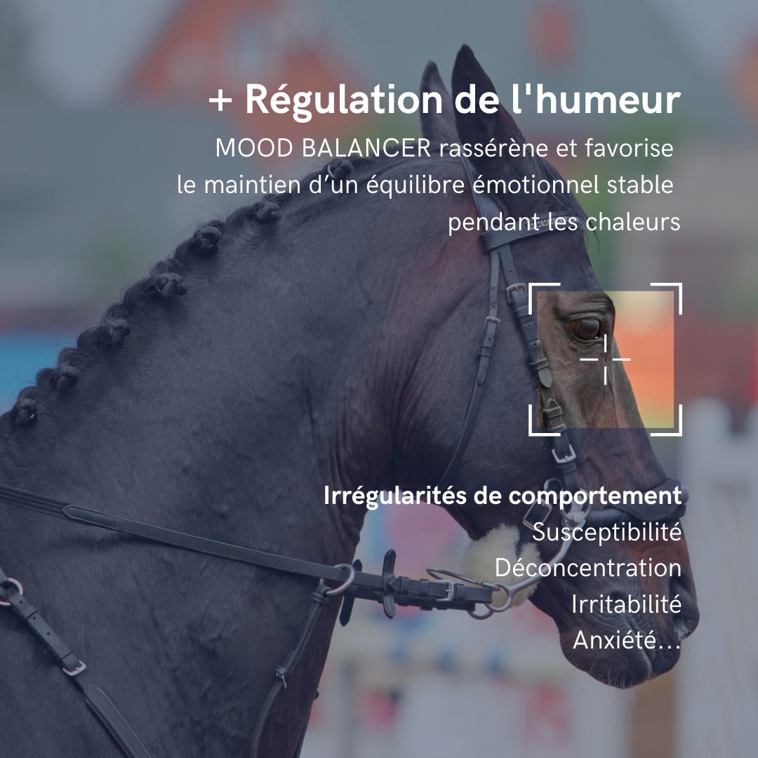 Mood Balancer | JUMENTS EN CHALEUR | L-TRYPTOPHANE | CONFORT ET RÉGULARITÉ