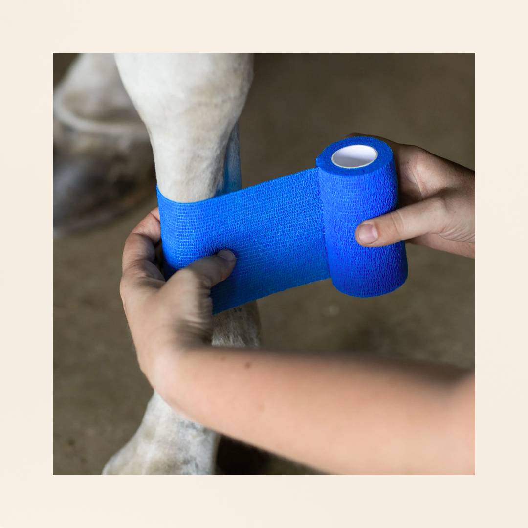 ProWrap | BANDAGE COHÉSIF RESPIRANT ET IMPERMÉABLE