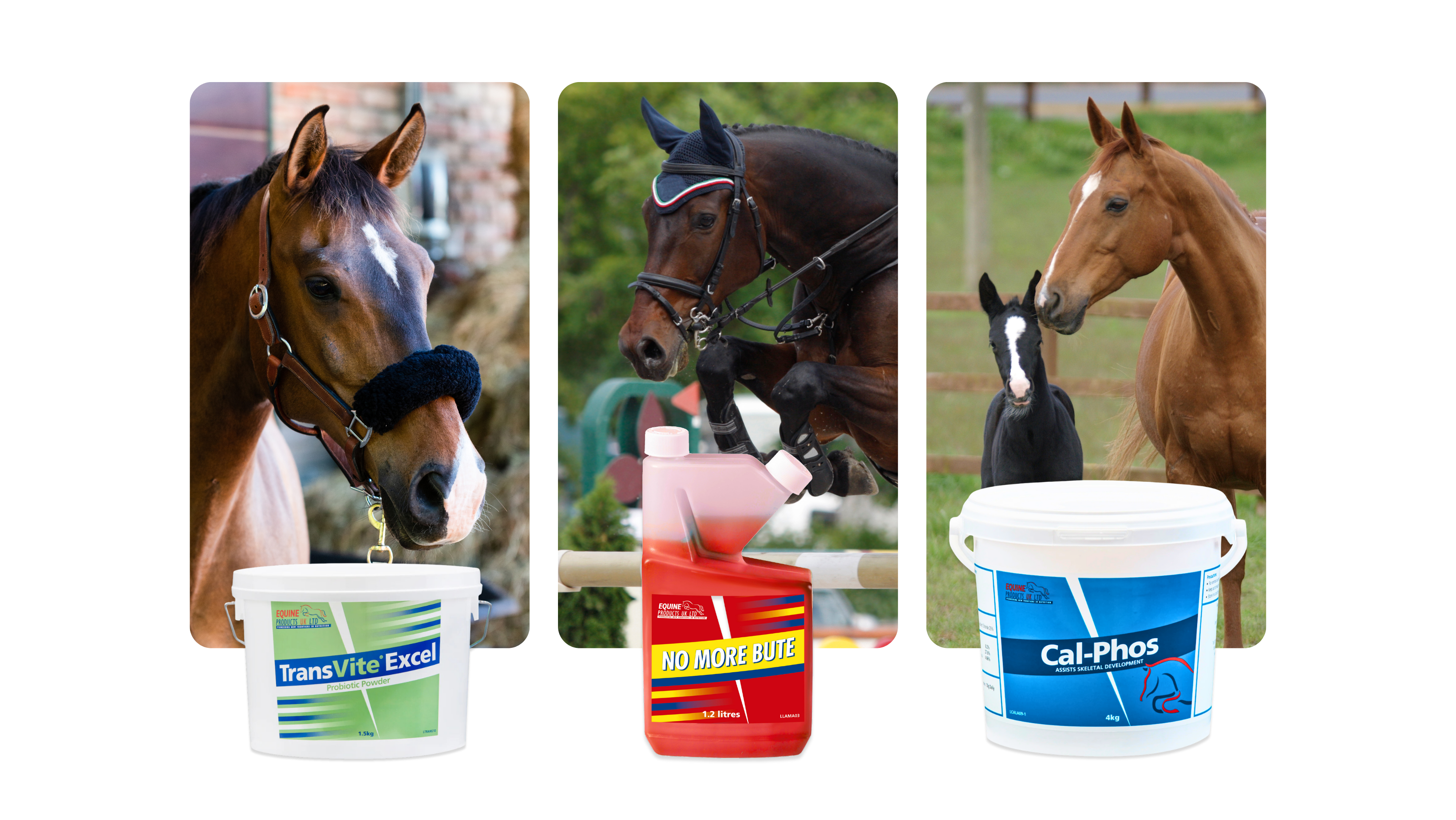 Equine Products France