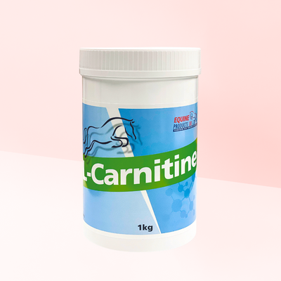L-Carnitine | BRÛLEUR DE GRAISSE | ANTI-FATIGUE EFFORT INTENSE