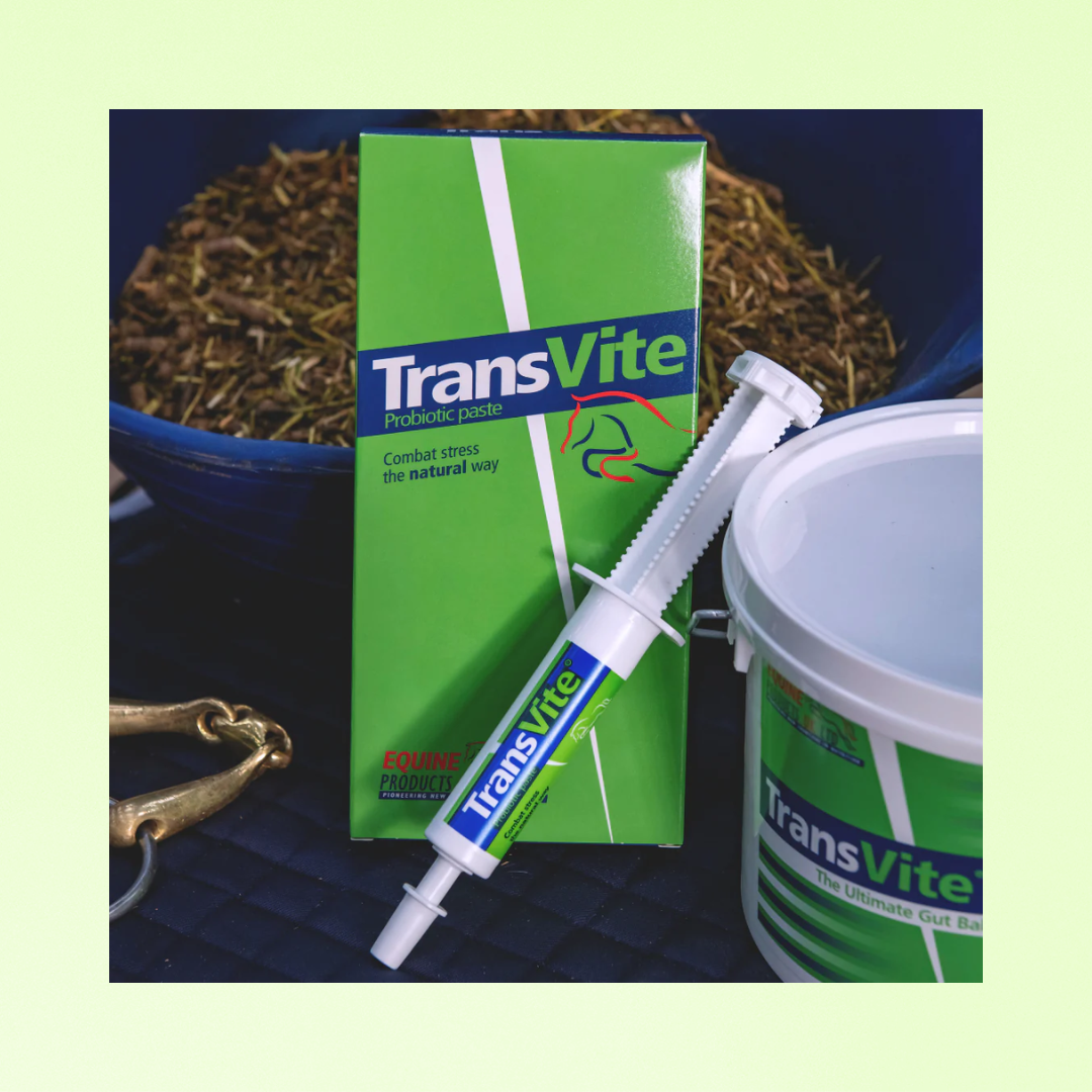 TransVite Paste |  | PROBIOTIQUES ET PRÉBIOTIQUES | STRESS INTESTINAL