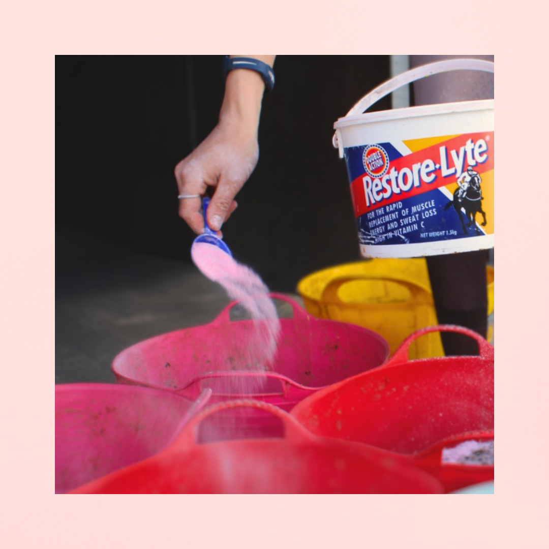 Restore-Lyte Powder | 2 EN 1 ÉLECTROLYTES + ÉNERGIE