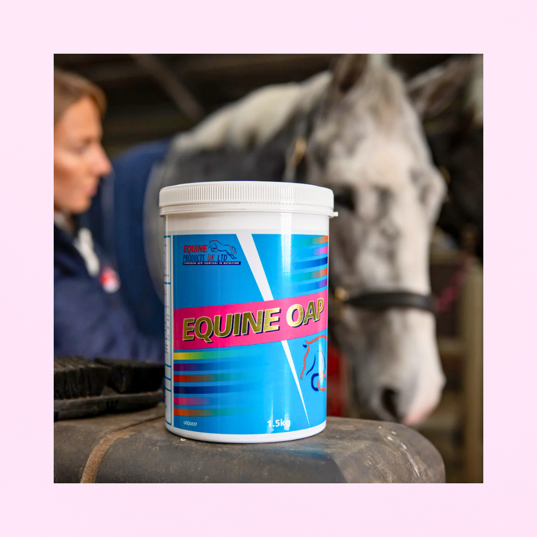 Equine OAP | SPECTRE ULTRA-COMPLET | ÉTAT | CONFORT ET VITALITÉ