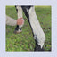 Relax Coolant | ACTION RÉFRIGÉRANTE INSTANTANÉE | JAMBES ET SABOTS